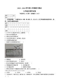 辽宁省丹东市凤城市2023-2024学年七年级上学期期中考试生物试题