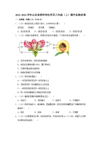 2023-2024学年山东省菏泽市牡丹区八年级（上）期中生物试卷