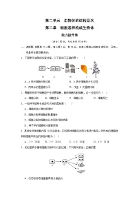 第二章 细胞怎样构成生物体-七年级生物上册单元速记·巧练（人教版）