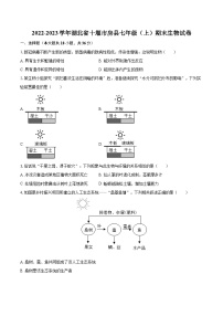 2022-2023学年湖北省十堰市房县七年级（上）期末生物试卷(含答案解析)