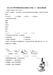 2022-2023学年河南省洛阳市孟津县七年级（上）期末生物试卷(含答案解析)