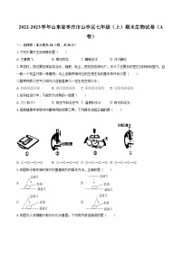 2022-2023学年山东省枣庄市山亭区七年级（上）期末生物试卷（A卷）(含答案解析)