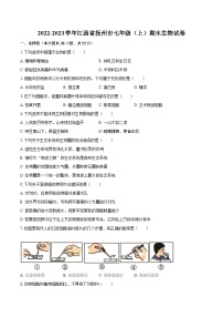 2022-2023学年江西省抚州市七年级（上）期末生物试卷(含答案解析)