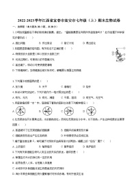 2022-2023学年江西省宜春市高安市七年级（上）期末生物试卷(含答案解析)