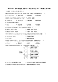 2022-2023学年福建省龙岩市上杭县七年级（上）期末生物试卷(含答案解析)