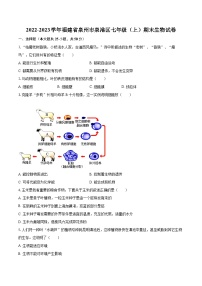 2022-2023学年福建省泉州市泉港区七年级（上）期末生物试卷(含答案解析)