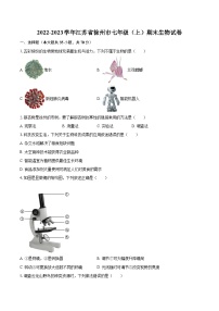 2022-2023学年江苏省徐州市七年级（上）期末生物试卷（含答案解析）