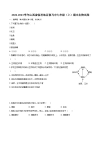 2022-2023学年山西省临汾地区侯马市七年级（上）期末生物试卷（含答案解析）