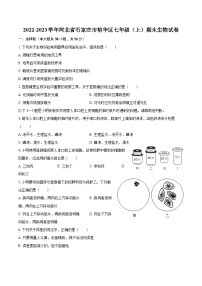 2022-2023学年河北省石家庄市裕华区七年级（上）期末生物试卷（含答案解析）