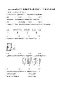 2022-2023学年辽宁省铁岭市西丰县七年级（上）期末生物试卷（含答案解析）