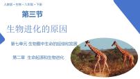 生物第七单元 生物圈中生命的延续和发展第三章 生命起源和生物进化第三节 生物进化的原因一等奖教学ppt课件
