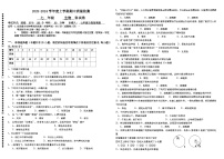 广西玉林市博白县启德中学2023-2024学年七年级上学期期中考试生物试题