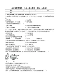 吉林省松原市前郭县南部学区2023—2024学年七年级上学期期末生物试卷+
