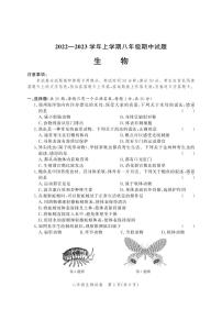 河南省郑州市第四十七初级中学2022-2023学年八年级上学期11月期中生物试题