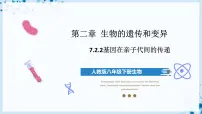 人教版 (新课标)八年级下册第二节 基因在亲子代间的传递优秀ppt课件