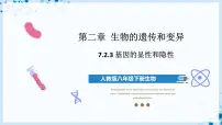八年级下册第七单元 生物圈中生命的延续和发展第二章 生物的遗传和变异第三节 基因的显性和隐性试讲课ppt课件