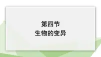 济南版八年级上册第四节 生物的变异备课课件ppt