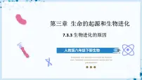 人教版 (新课标)八年级下册第三节 生物进化的原因一等奖ppt课件