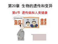 北师大版八年级上册第6节  遗传病和人类健康备课ppt课件
