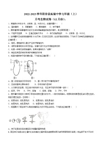 山东省聊城市阳谷县阳谷实验中学2023-2024学年七年级上学期12月月考生物试题(无答案)