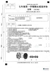 河北省衡水市景县景县第二中学2023-2024学年七年级上学期12月期末生物试题