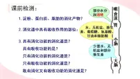 初中生物北师大版七年级下册第四单元 生物圈中的人第8章 人体的营养第3节 合理膳食与食品安全集体备课课件ppt