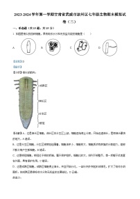 甘肃省武威市凉州区2023-2024学年七年级上学期生物期末模拟试卷（二）（解析版）