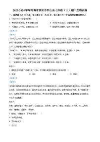 河南省信阳市罗山县2023-2024学年七年级上学期期中生物试卷（解析版）