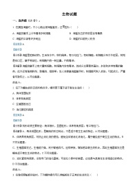 山东省泰安市宁阳县第十一中学2023-2024学年八年级上学期第一次月考（9月）生物试题（解析版）