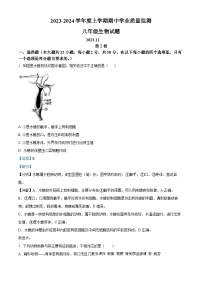 【预约】山东省临沂市郯城县2023--2024学年八年级上学期期中生物试题（解析版）