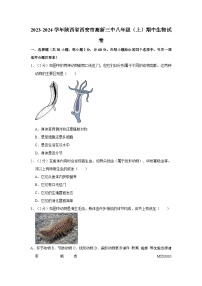 陕西省西安市高新三中2023-2024学年八年级上学期期中生物试卷