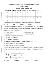 江苏省盐城市东台市第二教育联盟2023-2024学年七年级上学期12月月考生物试题