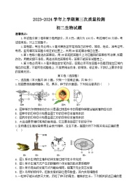 山东省滨州市阳信县城区集团校2023-2024学年八年级上学期12月月考生物试题