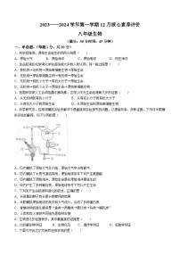 山东省枣庄市第四十中学2023-2024学年八年级上学期12月核心素养评价生物试卷(无答案)