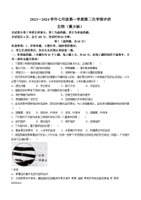 河北省张家口市张北县第三中学2023-2024学年七年级上学期12月月考生物试题(无答案)