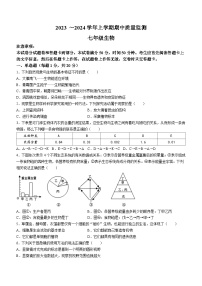 河南省许昌市长葛市2023-2024学年七年级上学期期中生物试题