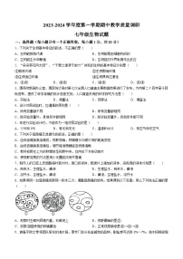 山东省济宁市鱼台县2023-2024学年七年级上学期期中生物试题