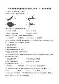 2022-2023学年福建省泉州市泉港区八年级（上）期末生物试卷(含详细答案解析)