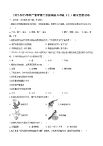 2022-2023学年广东省湛江市徐闻县八年级（上）期末生物试卷(含详细答案解析)