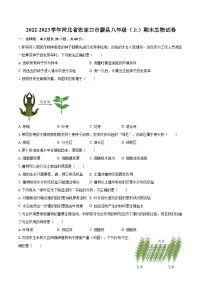 2022-2023学年河北省张家口市蔚县八年级（上）期末生物试卷（含详细答案解析）