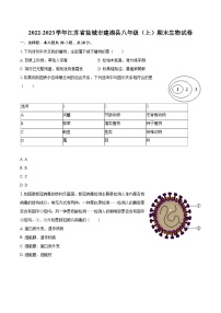 2022-2023学年江苏省盐城市建湖县八年级（上）期末生物试卷（含详细答案解析）