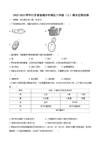 2022-2023学年江苏省盐城市亭湖区八年级（上）期末生物试卷（含详细答案解析）