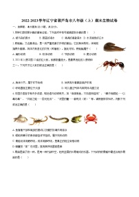 2022-2023学年辽宁省葫芦岛市八年级（上）期末生物试卷（含详细答案解析）