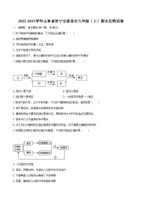 2022-2023学年山东省济宁市曲阜市八年级（上）期末生物试卷(含详细答案解析)