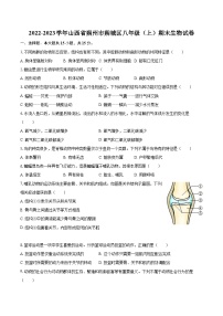 2022-2023学年山西省朔州市朔城区八年级（上）期末生物试卷（含详细答案解析）