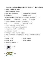 2022-2023学年云南省昆明市县市区八年级（上）期末生物试卷(含详细答案解析)