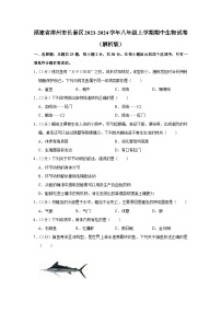 福建省漳州市长泰区2023-2024学年八年级上学期期中生物试卷