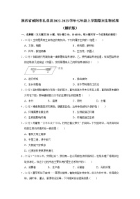 陕西省咸阳市礼泉县2022-2023学年七年级上学期期末生物试卷