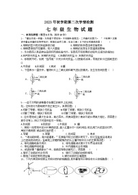 江苏省盐城市大丰区部分校2023-2024学年七年级上学期12月月考生物试题