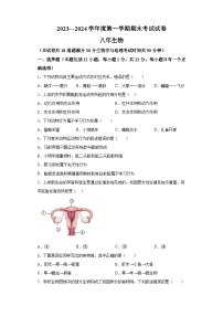 辽宁省铁岭市西丰县2023-2024学年八年级上学期期末 生物试题（含解析）